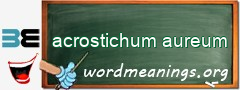 WordMeaning blackboard for acrostichum aureum